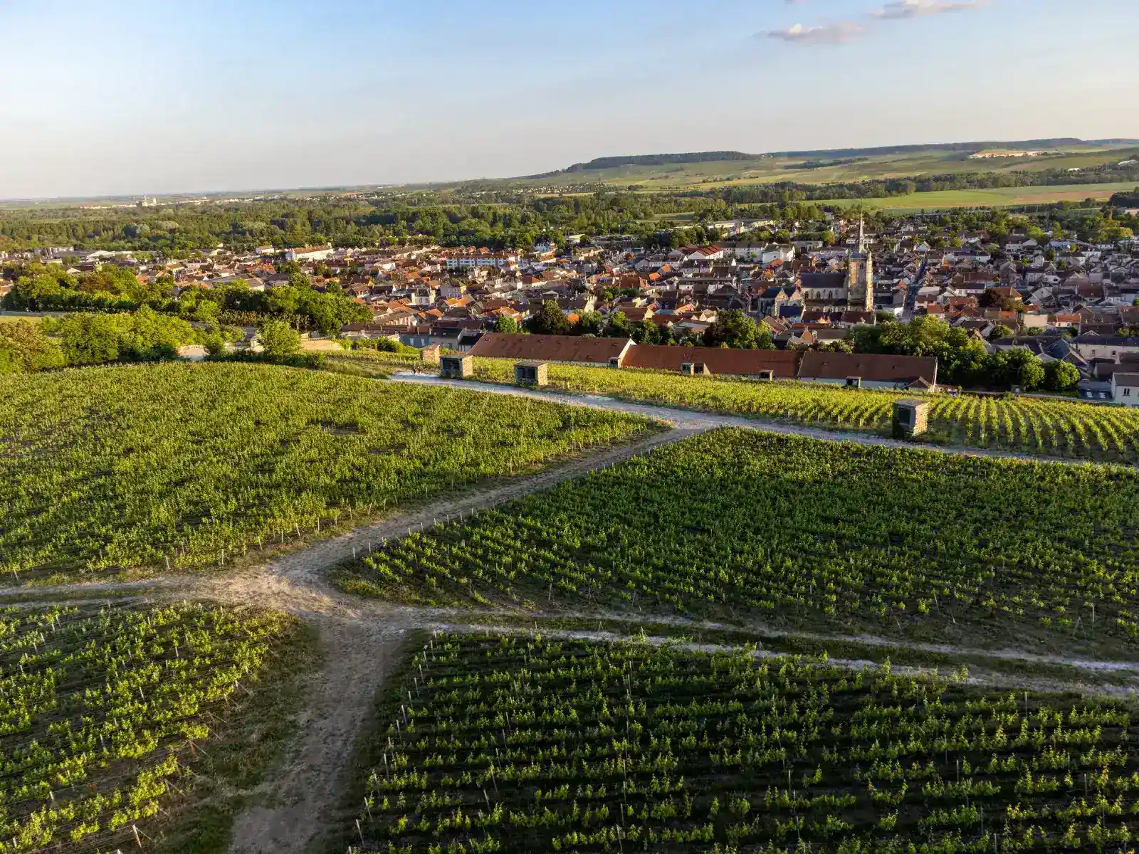 Champagne de luxe : les coteaux du vignoble et la ville d’Épernay au soleil couchant